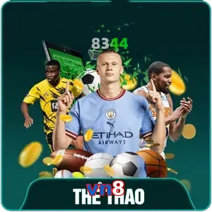 the-thao-vn8